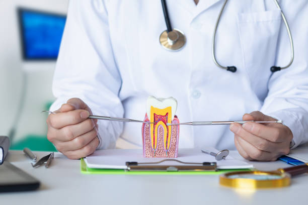 Best Urgent Dental Care in Van Buren, AR
